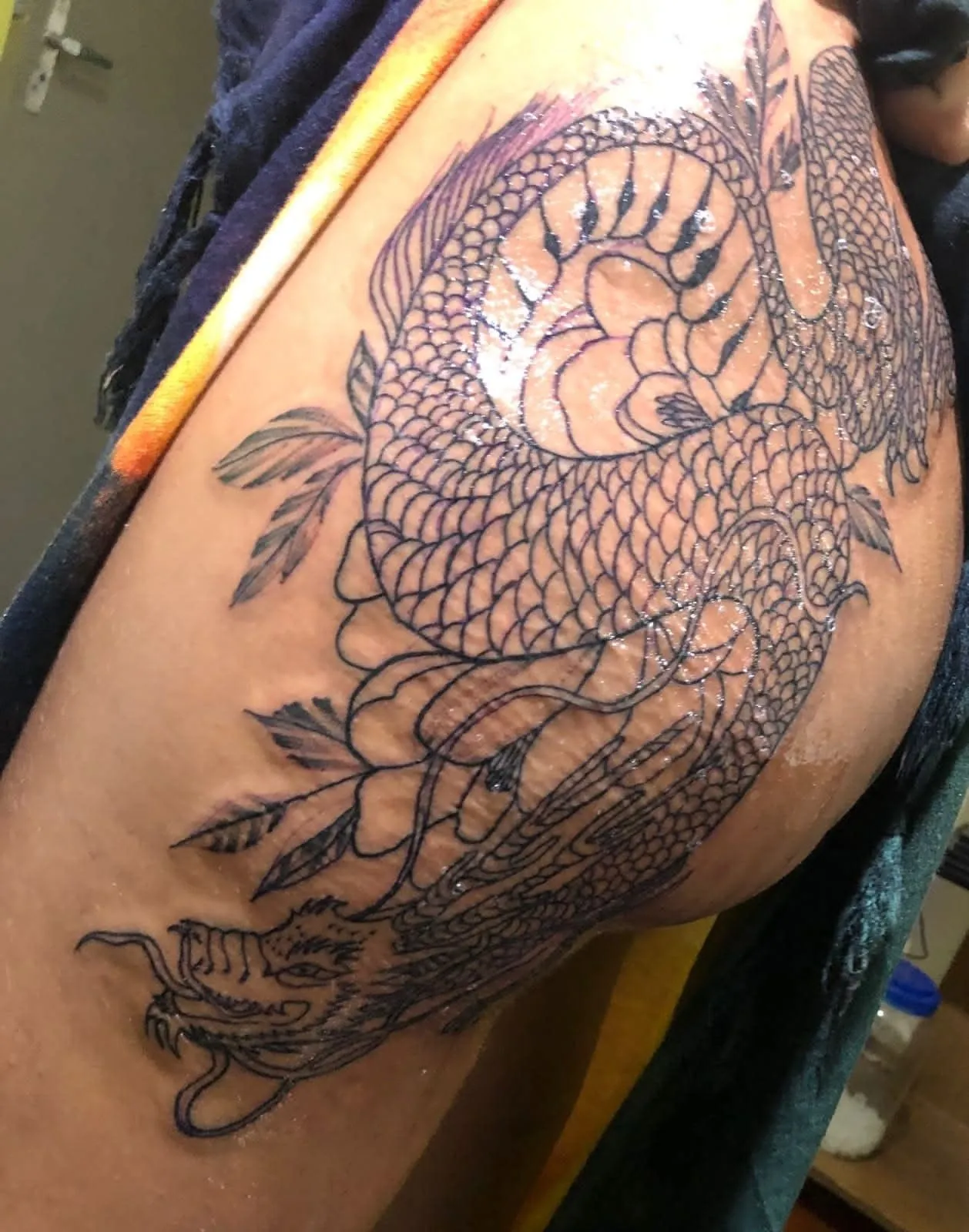 Trabalho 24